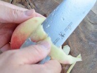 皮が固い場合は、りんごのようにクルクルと剥きます。柔らかい場合は手ではぐことができます。<br />