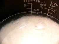内釜に（5）の米をあけ、3の線まで水を入れ、氷を2コ入れ、水が多すぎるようであれば少し取り除いて、スイッチを入れる。<br />
<br />
※使用したのは新米。近年の新米はしっかり乾燥しているので、水加減を変える必要はほぼない。<br />
<br />