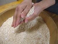 塩を50g取り分けて、200gの塩と麹を手でこすり合わせ混ぜ合わせます。取り分けた50gの塩は、後で詰めた味噌の表面に雑菌の繁殖を抑えるために振ります。<br />