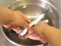 ボウルに塩と水4カップを入れ、均一に混ぜます。いわしを入れ、丁寧に洗い、キッチンペーパーなどで水気をとります。<br />