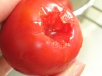 フルーツトマトはヘタを取り、皮を剥きます。湯剥きすると簡単にきれいにできます。（※ポイント参照）<br />