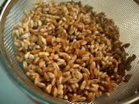 スペルト小麦は、水でしっかり洗い、水に5分程漬けておき、ザルにあげる。