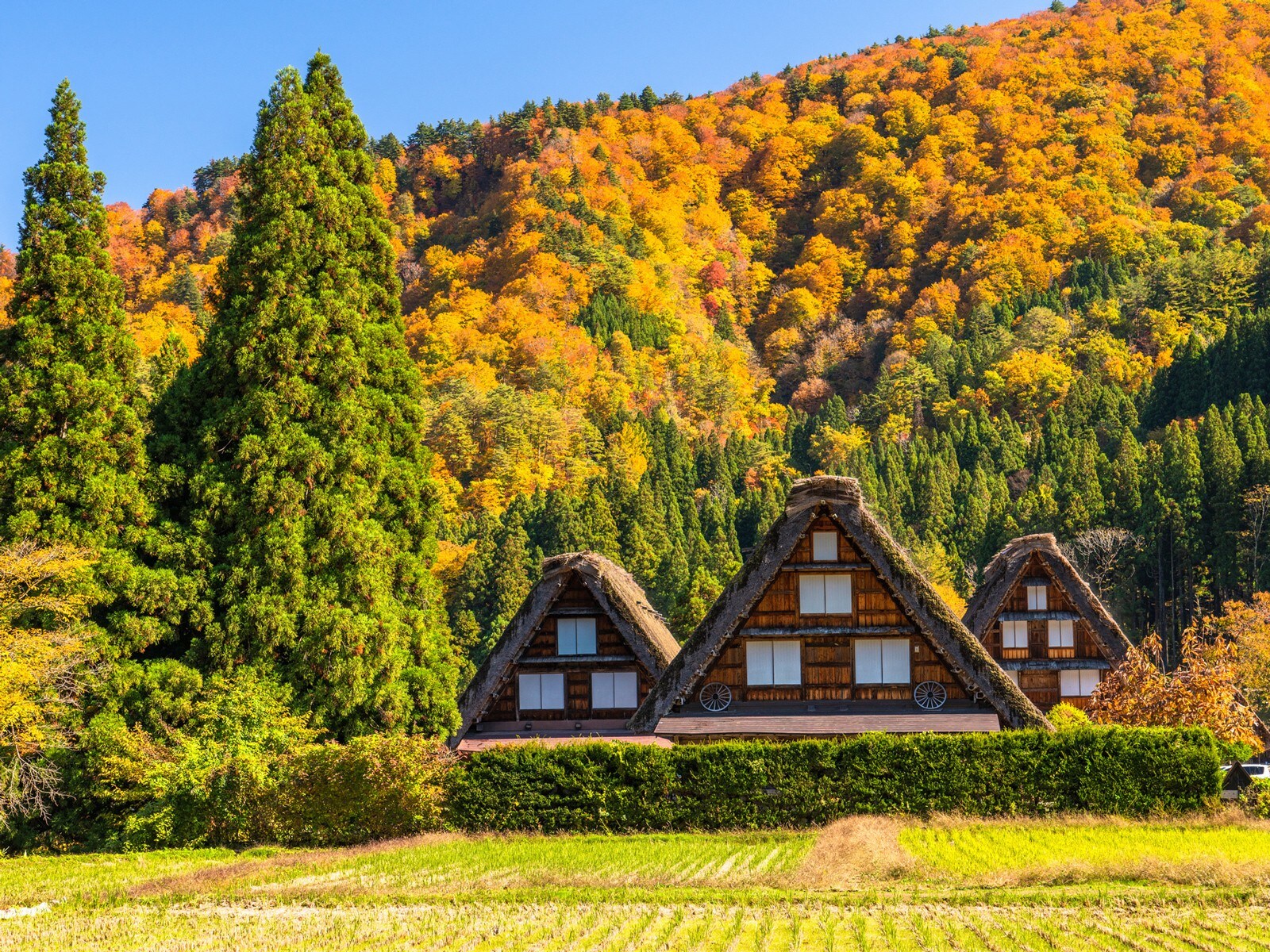 「全国旅行支援」スタート！ 10月11日から、どのくらいお得になる？