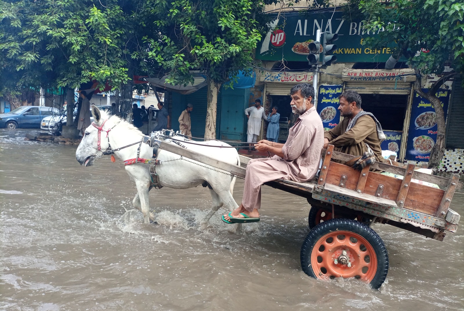 パキスタンは国土の3分の1が水没……世界で相次ぐ「気象災害」が日本にとっても他人事とは言えない理由