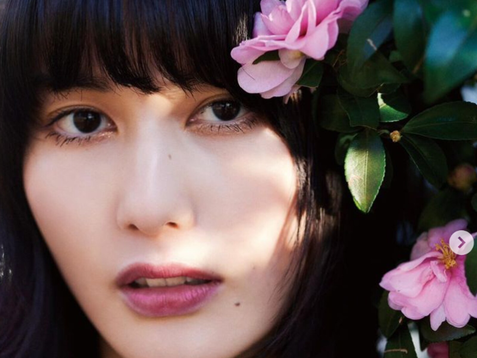 「なんという造形美、、、」橋本愛、蜷川実花が撮影したモデルショットに絶賛の声！ 「眼福です」
