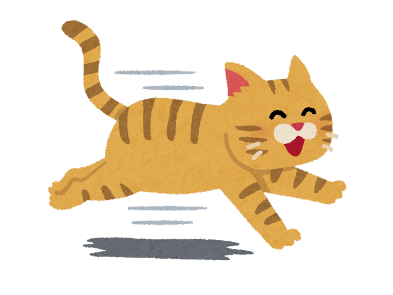 猫と人間はどっちが速い？ 「サザエさん」はドラ猫に追いつける？ 【猫の豆知識】
