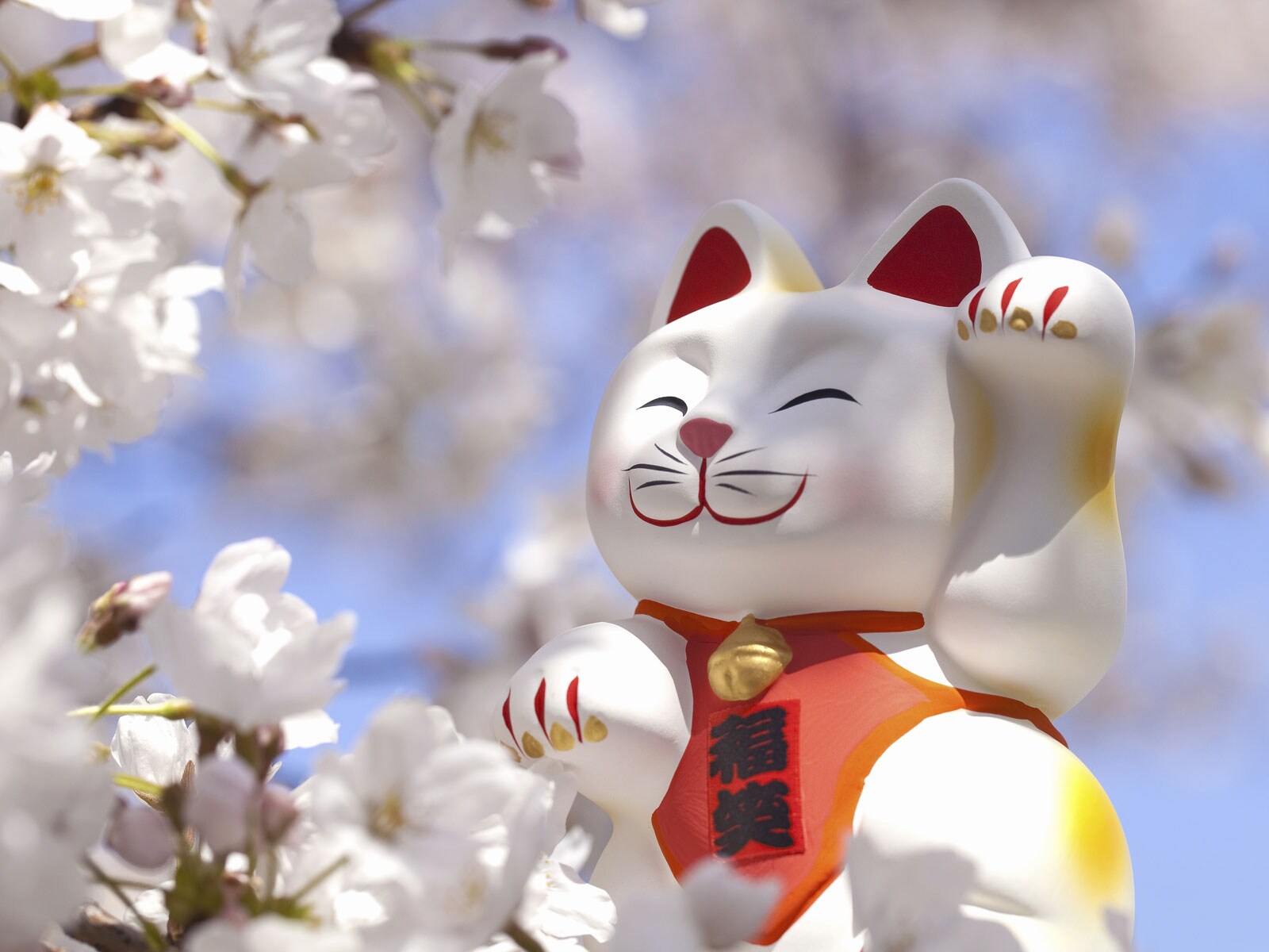 4月2日は「一粒万倍日×寅の日」のダブル開運日！ 4月の最強開運日の過ごし方