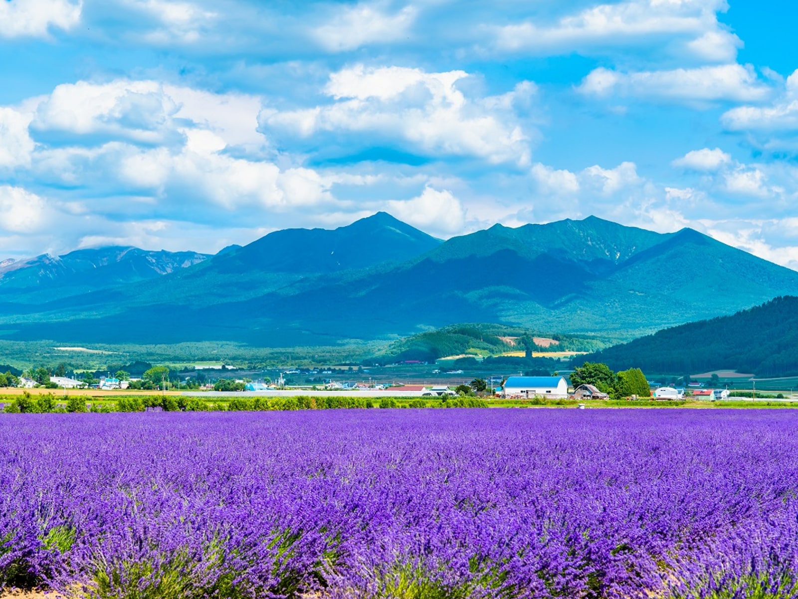 【2537人に調査】2023年夏ボーナスで行く国内の旅行先人気ランキング！ 2位「北海道」、1位は？