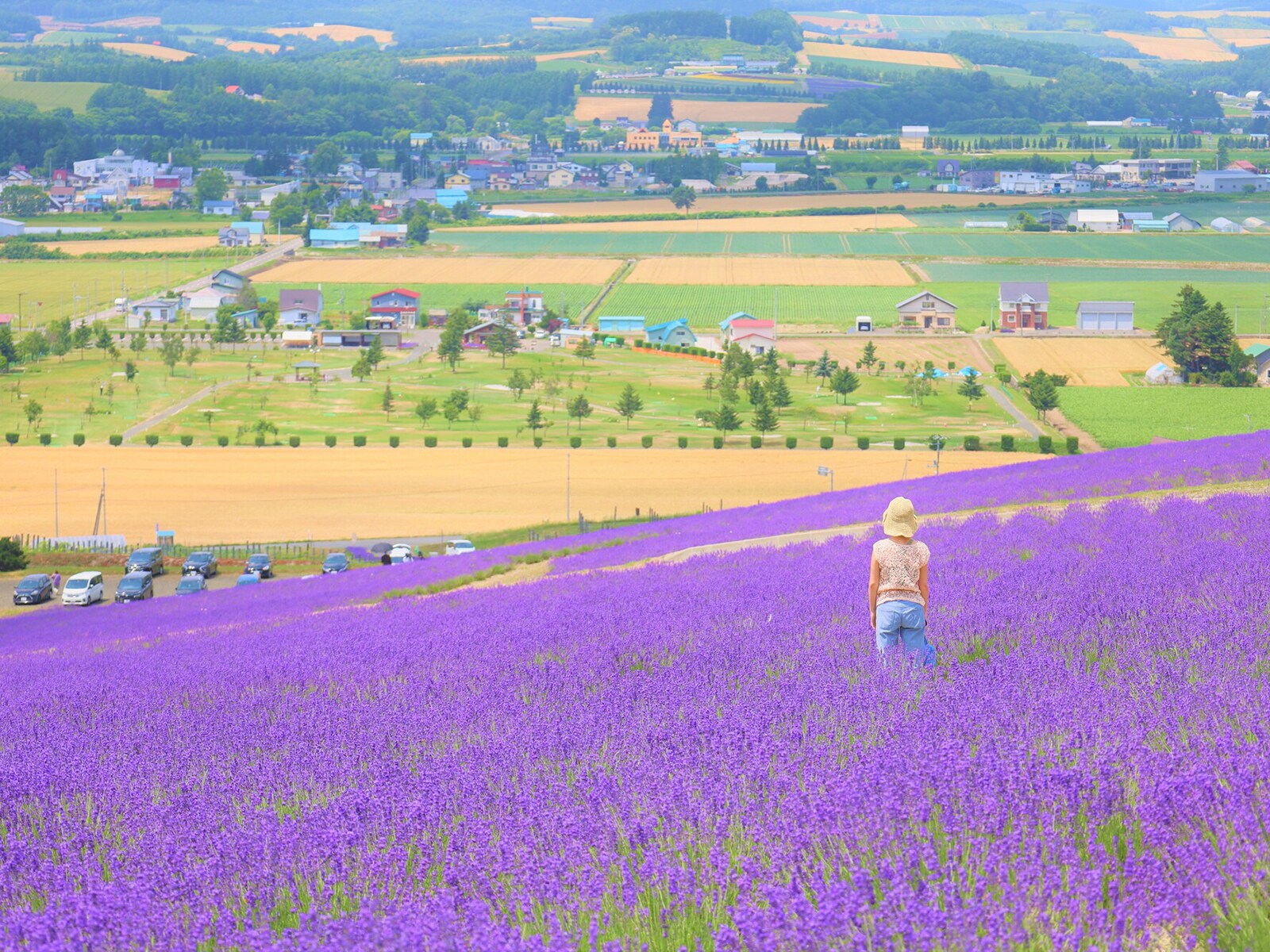 「現地で良い観光情報を入手できた都道府県」ランキング！ 2位 北海道、1位は？【2023最新】