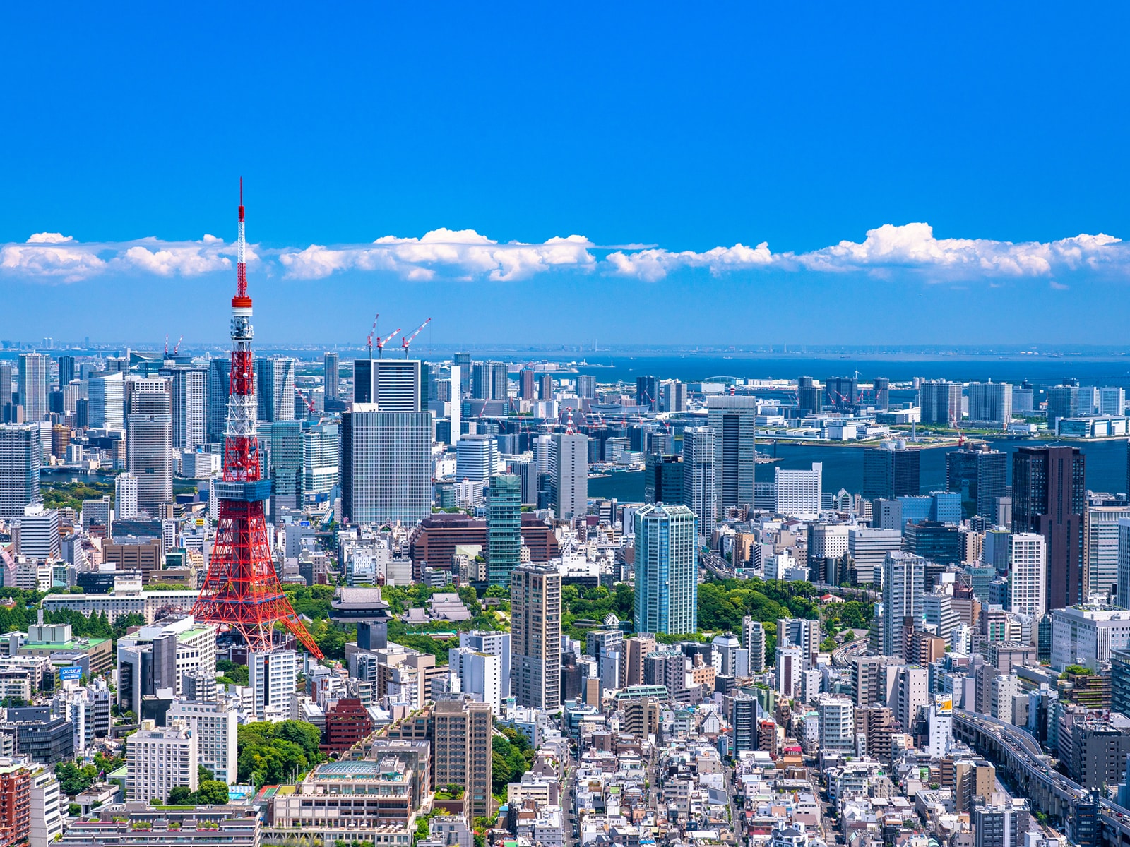 幸福度が高い「東京都の自治体」ランキング！ 2位「港区」、1位は？