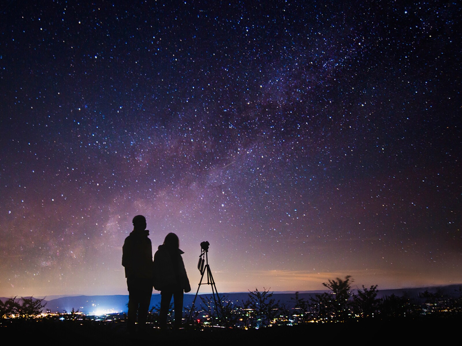 今夜見られる星座や天体の情報は、どこで確認できる？