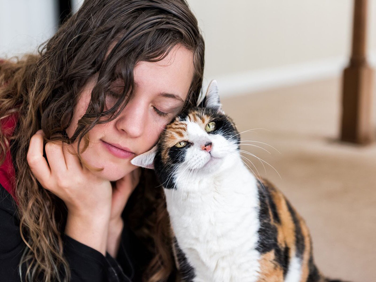 猫が甘えてきている時の絶対NG行為３つ