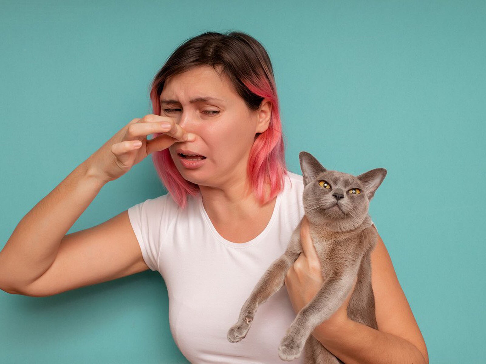 猫から悪臭がする原因４つ　臭う場所別対処法と予防法