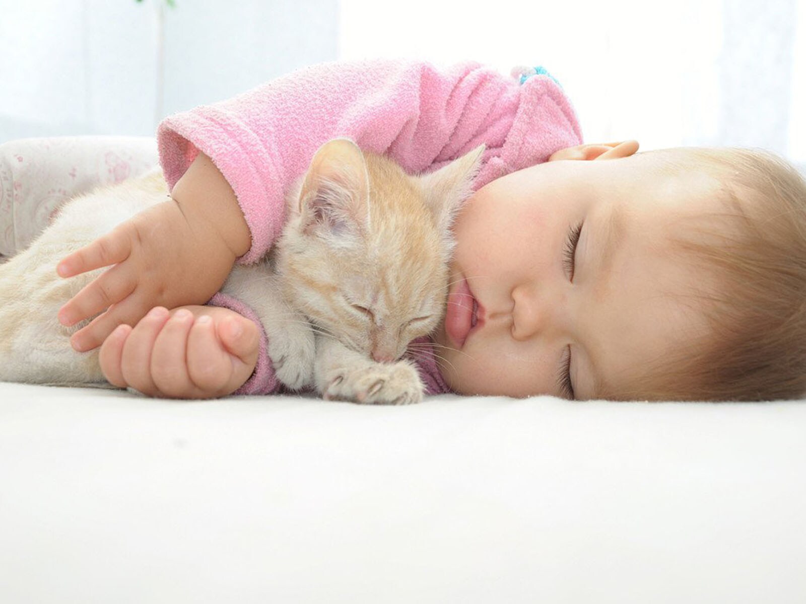 猫が赤ちゃんと同居する時に潜む危険３つ！飼い主ができる対策とは