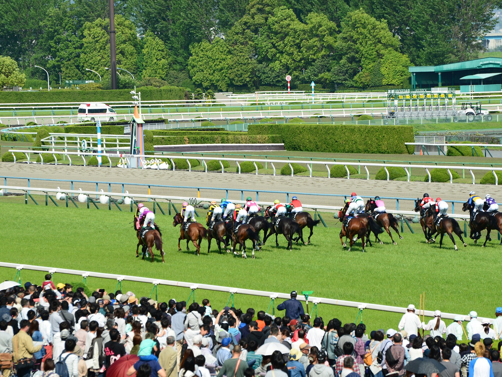 好きな「平成以降の天皇賞（春）優勝馬」ランキング！ 2位「キタサン